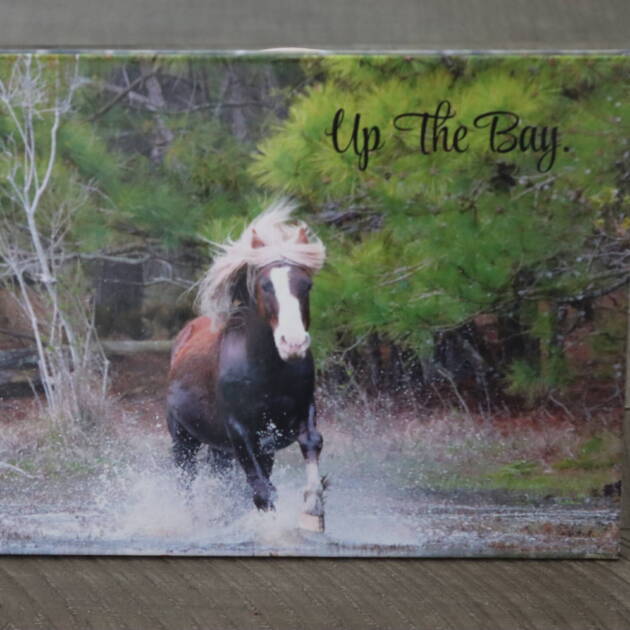8x10 Picture Book