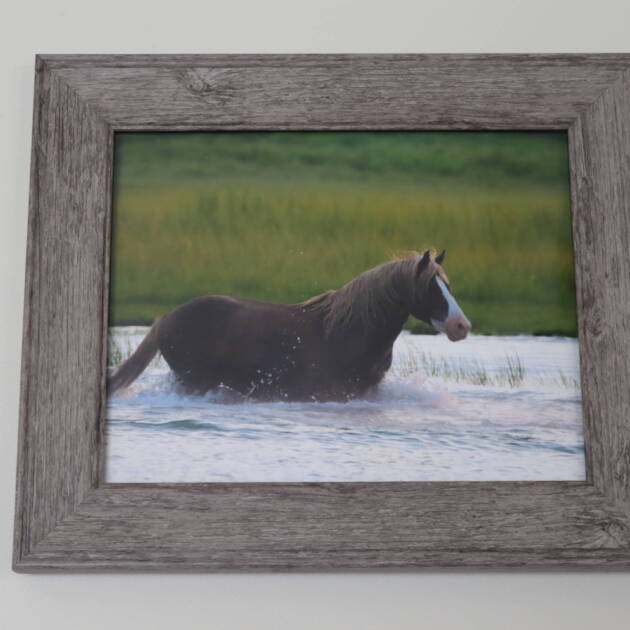 Framed Photo 8x10 - Riptide