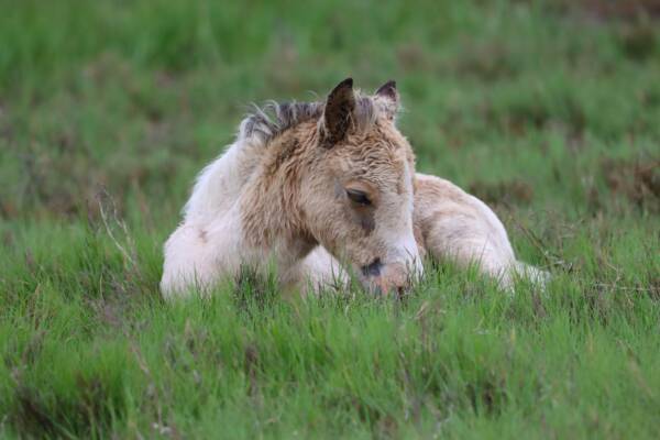 Sleepy time