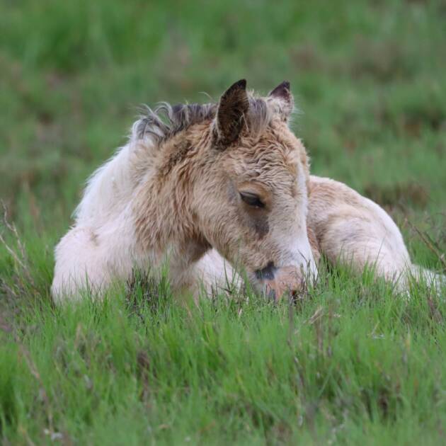 Sleepy time