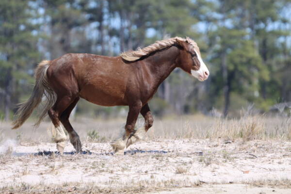 Riptide in charge