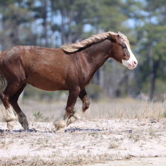 Riptide in charge
