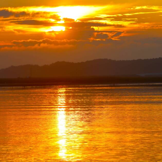 Chincoteague Sunrise