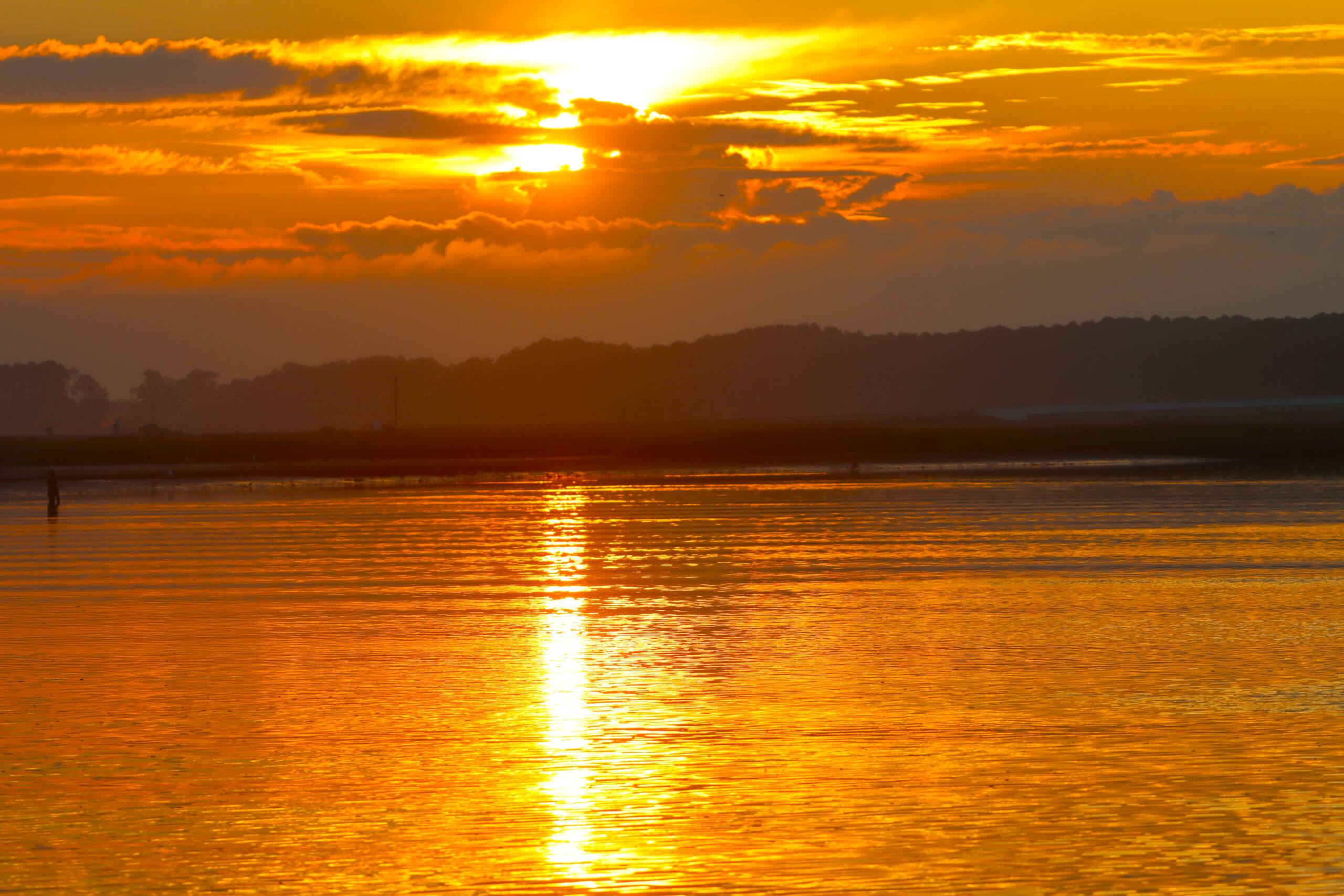 Chincoteague Sunrise