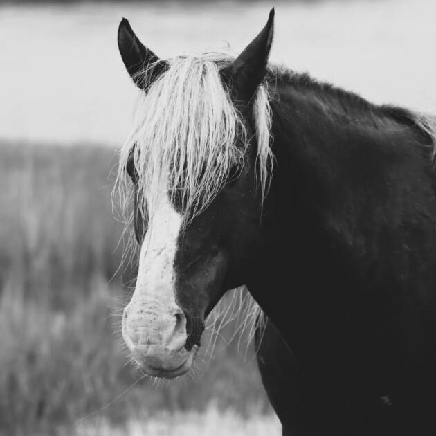 Riptide -Black and White 3