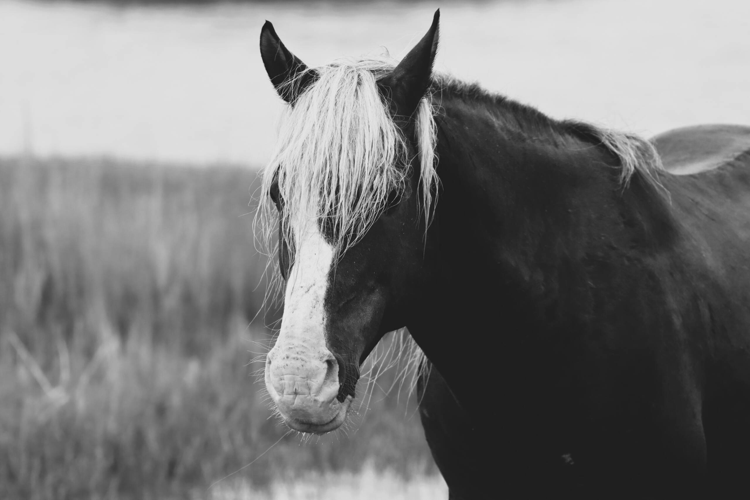 Riptide -Black and White 3
